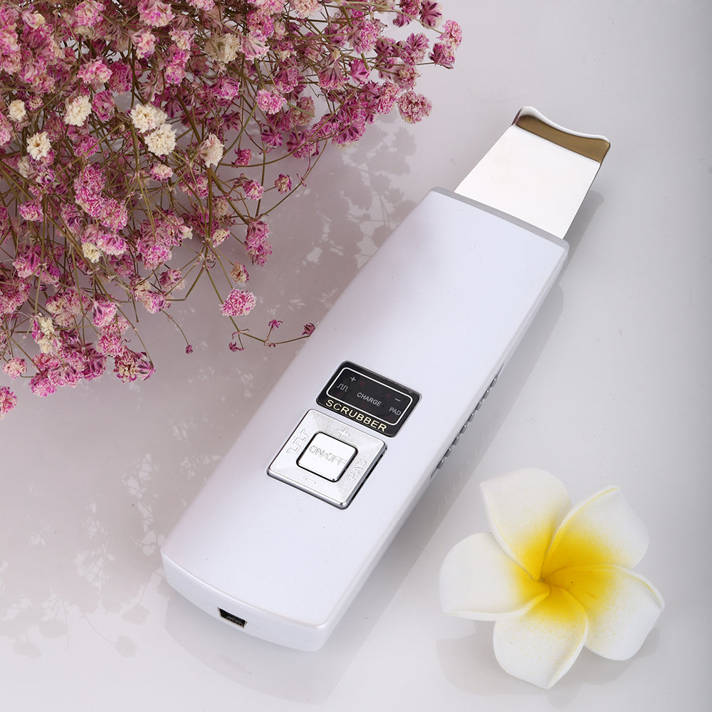 Prospera DL022 Panther Ultrasonic Facial Massager – prosperacorp