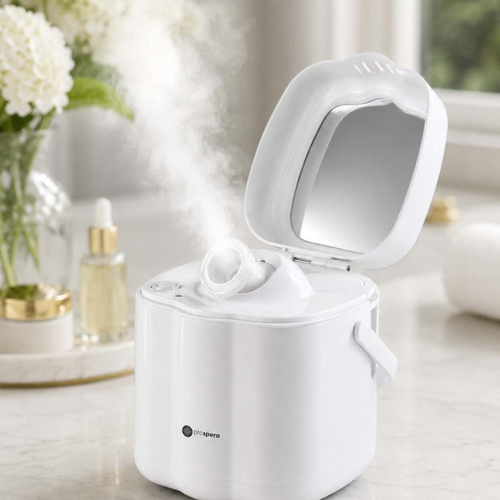 DL008 Hot Mist Nano Facial Steamer Spa Quality Home Face Humidifier for Women Men